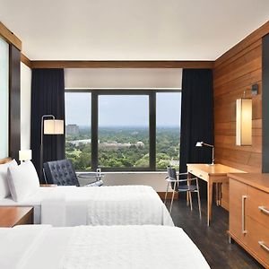 Club Twin Room